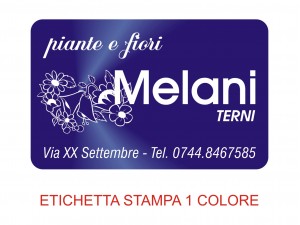 Etichette adesive grandi per fioristi, fiorai e vivaisti (mm 54x34)  (cod.58G)